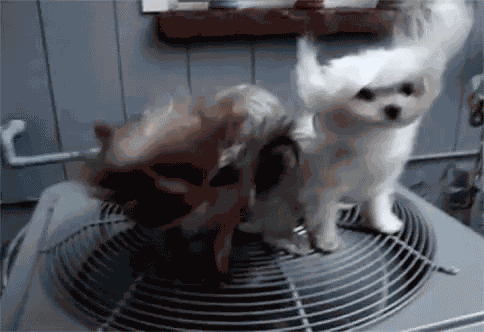 Ac Air Condtioner GIF