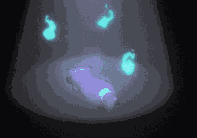 Acchi Kocchi Anime GIF