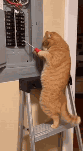 Accident Electricity GIF