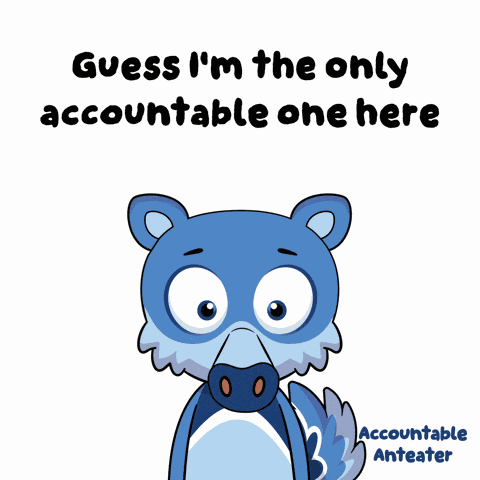 Accountability Accountable GIF