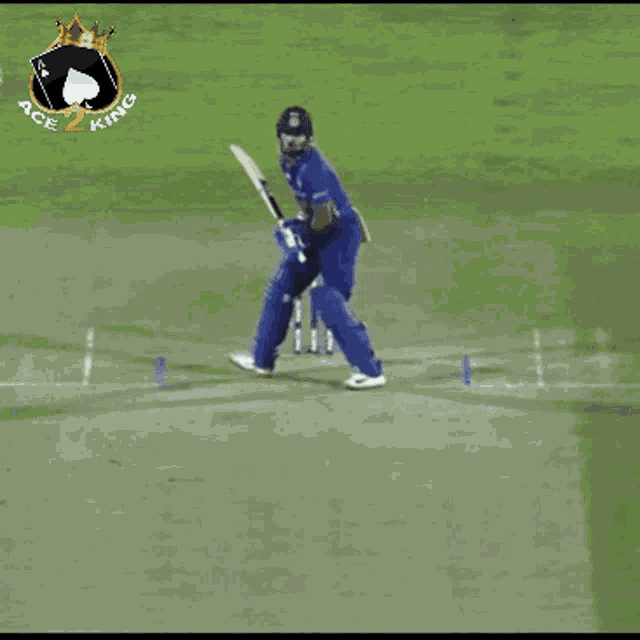 Ace2king Cricket GIF