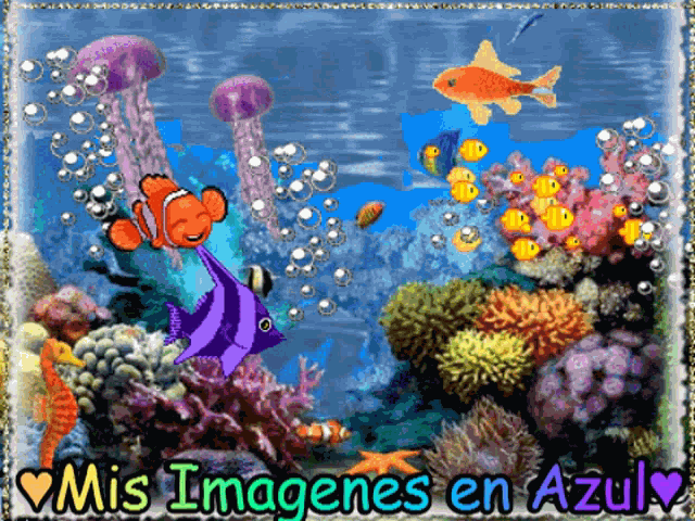 Acuario Peces GIF