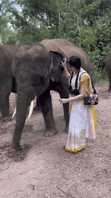 Adah Sharma Elephant GIF