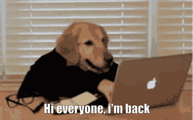 Adblocker Im Back GIF