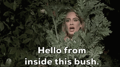 Adele Sn P GIF