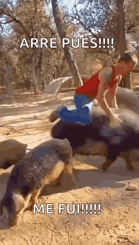 Adios Adios Meme GIF