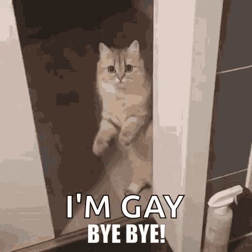 Adios Amigo GIF