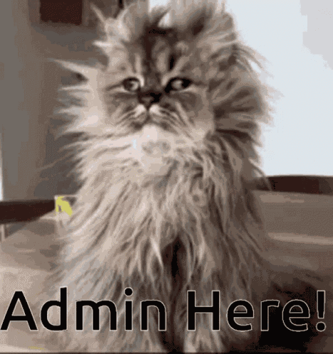 Admin Admin Here GIF