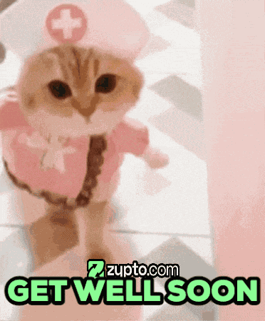 Adorable Cat Animal Costume GIF