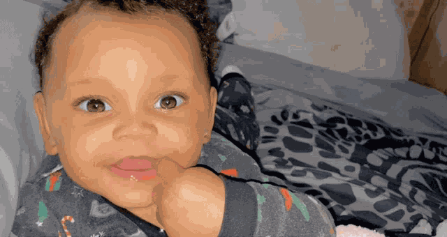 Adorable Cute GIF GIF