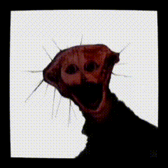 Adorable Cute GIF