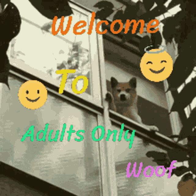 Adults Only Welcome GIF