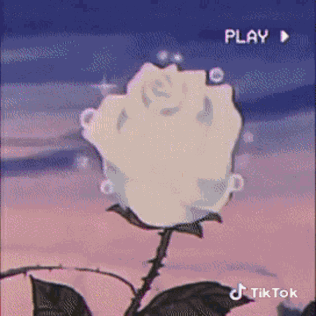 Aesthetic Tik Tok GIF