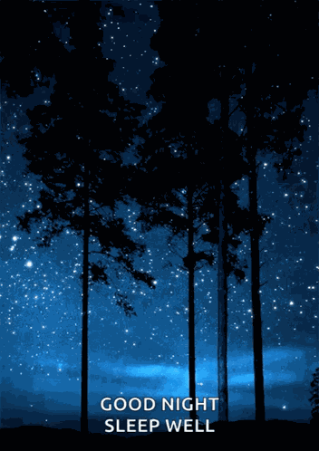 Aesthetic Trees GIF