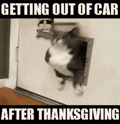 After Thanksgiving GIF