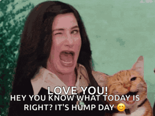 Agatha Wink Cat Meme