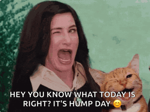 Agatha Wink Cat Meme