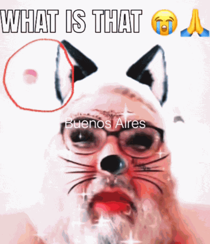 Aggresive Fart Freaky Rizz Meme