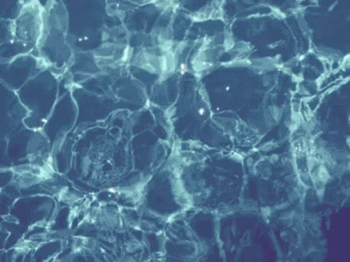 Agua Water GIF