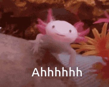 Ahh Axolotl GIF