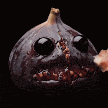Ai Fig GIF