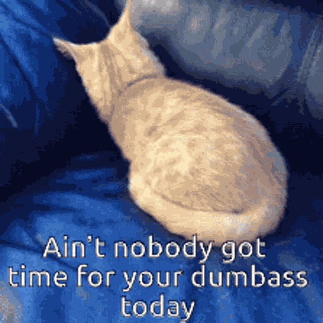 Aint Nobody Got Time Dumbass GIF