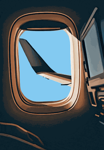 Airplane Plane Window GIF
