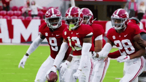 Alabama Crimson Tide GIF