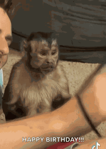 Alexswrld Alexswrid GIF