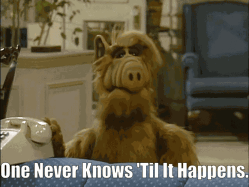 Alf One Never Knows GIF