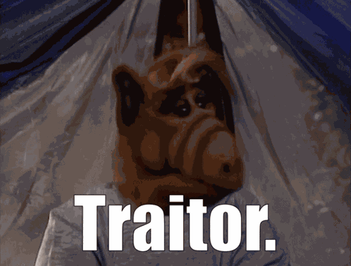 Alf Traitor GIF