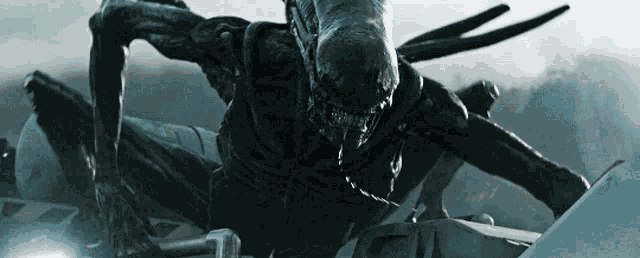 Alien Covenant GIF