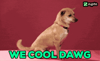All Good Bro GIF