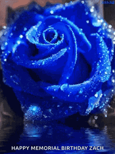 Allblueeverything Vote GIF