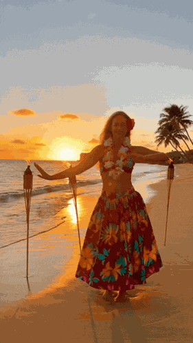 Allieranae Allieranae Hula GIF