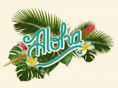 Aloha Hawaii GIF
