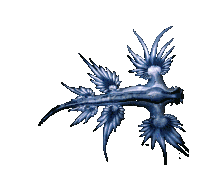 Amazing Animal Sticker