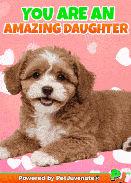 Amazing Daughter I Love My GIF