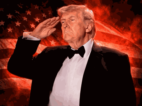 America America Is Back GIF