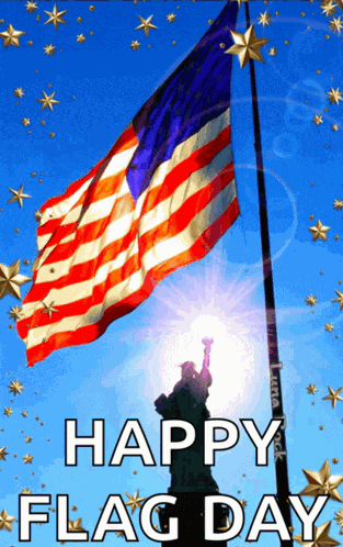 America American Flag Meme