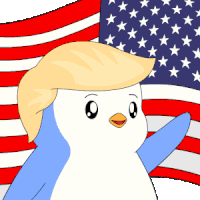 America American Sticker