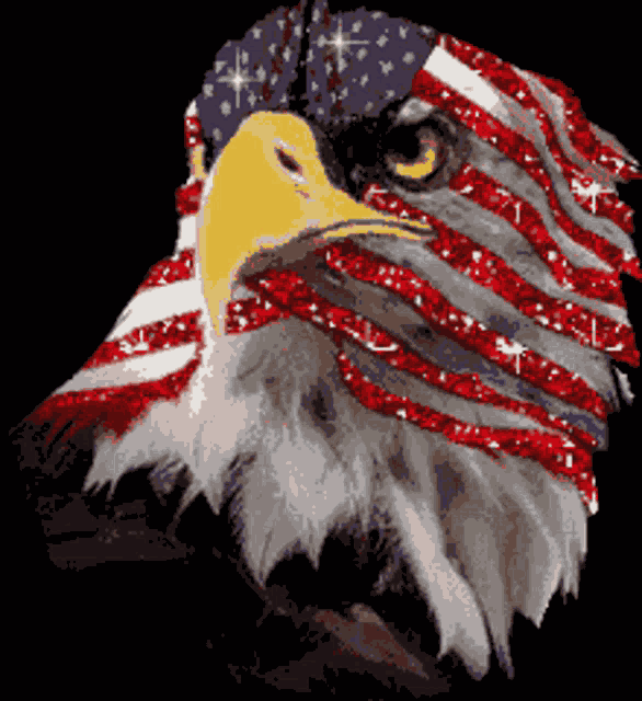 America Eagle GIF