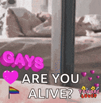 America Gay America F Yeah GIF