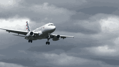 American Airlines Airplane Landing GIF