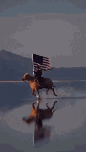 American Flag Horse Riding GIF
