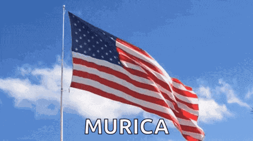 American Flag Murica GIF
