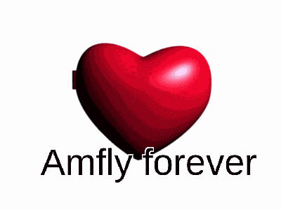 Amfly GIF