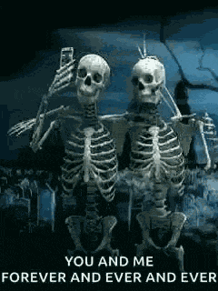 Amigos Selfie GIF