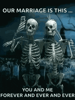 Amigos Selfie GIF