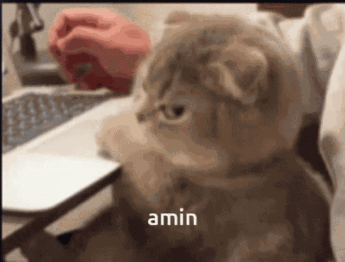 Amin GIF